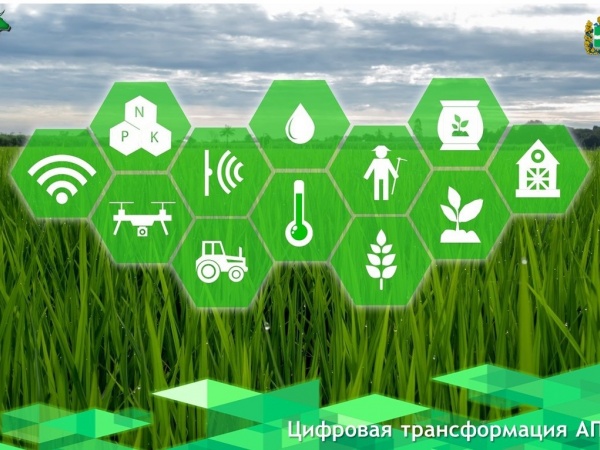 Цифровая трансформация АПК и рыбохозяйственного комплексов