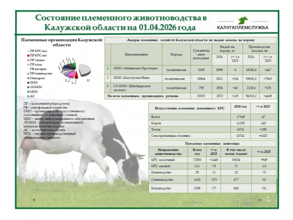 Состояние племенного животноводства на 01.04.2026