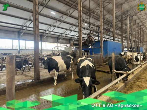 Выезд в АО "Кривское"