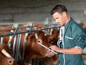 Оказание зоотехнических услуг