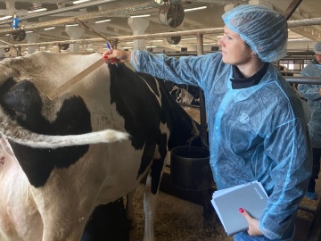 Проведение оценки типа телосложения